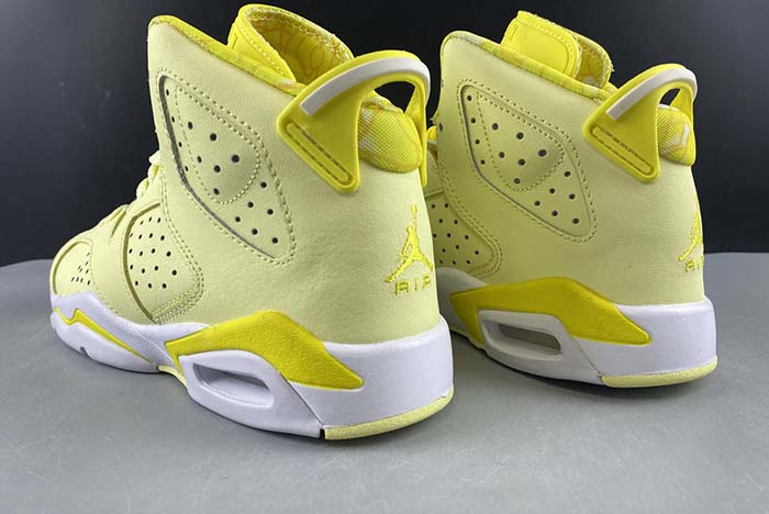 air jordan 6 gs  floral 543390-800
